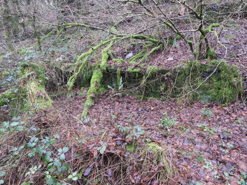 8b. Walling between Burning House and Buddles