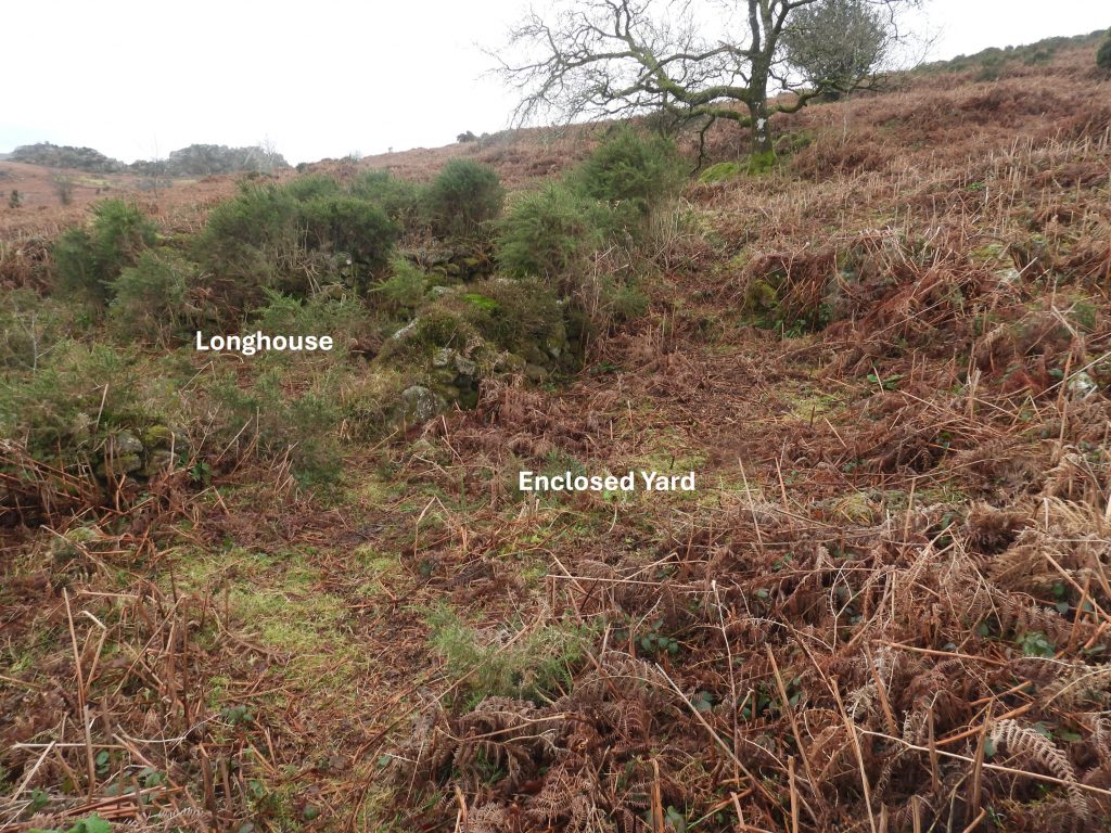 9. Enclosure and Longhouse