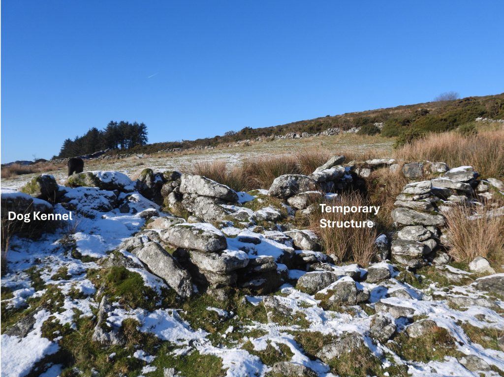 9. Temporary Structure and Dog Kennel