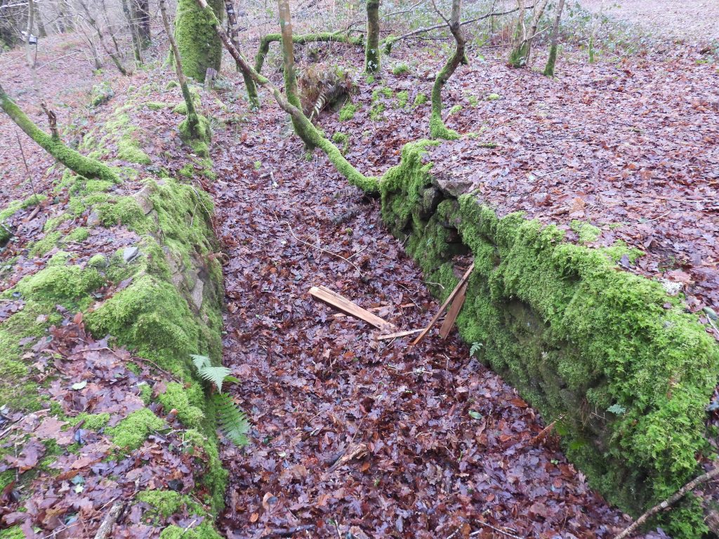 9a. Narrow Structure