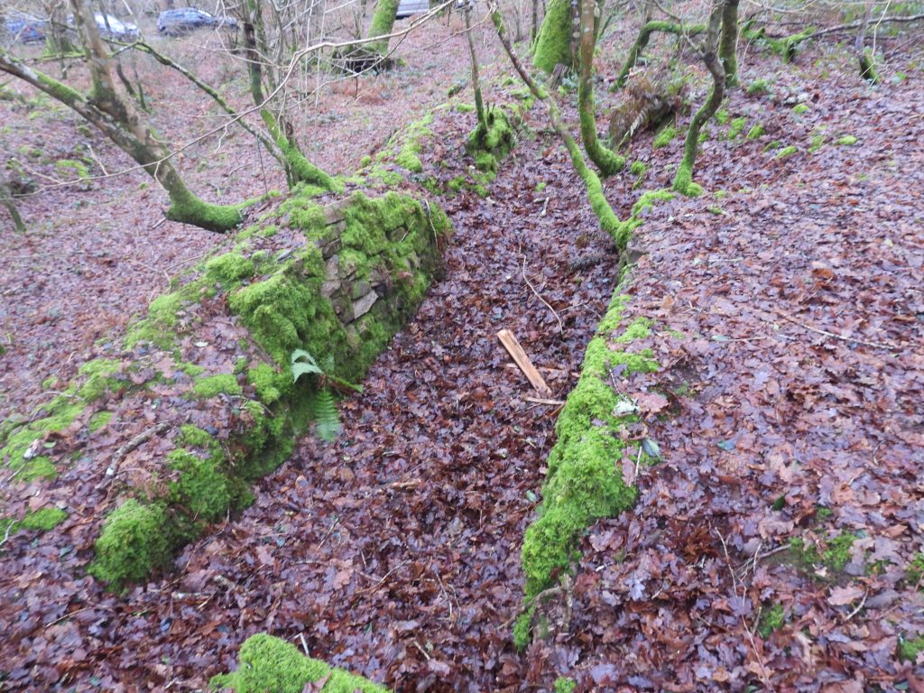 9b. Narrow Structure