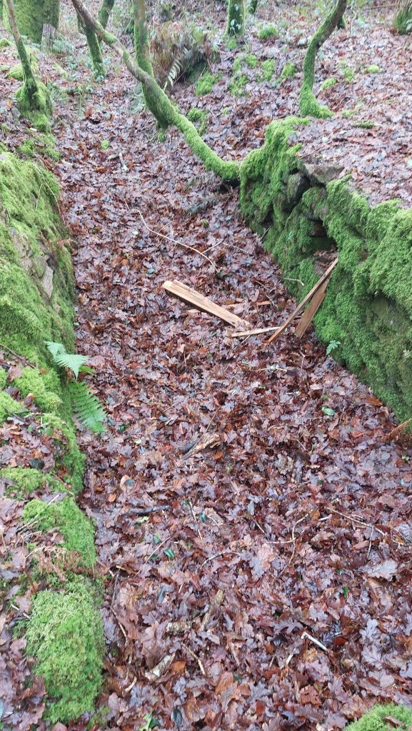 9c. Narrow Structure