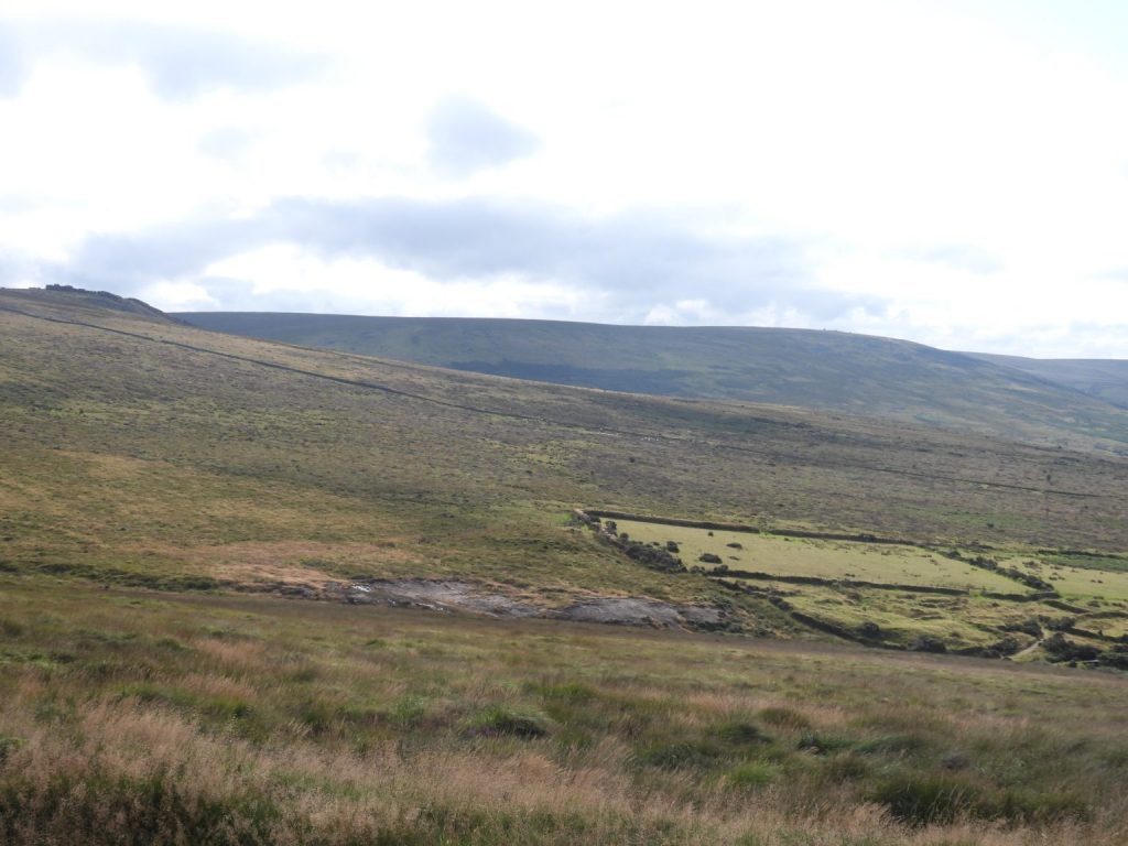 Palmer's (Hamlyn) Newtake SX54 83