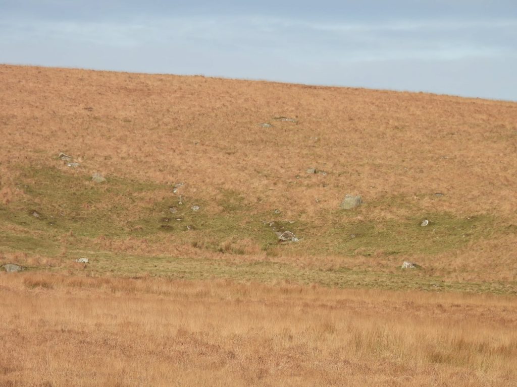 Penn Moor (Broadall Head) - SX606 638