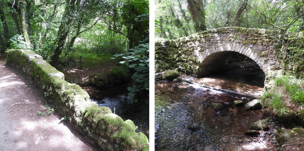 Pennaton Bridge - SX6843 5929