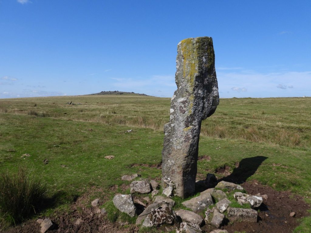 Petertavy Great Common Standing Stone - SX5502 7874