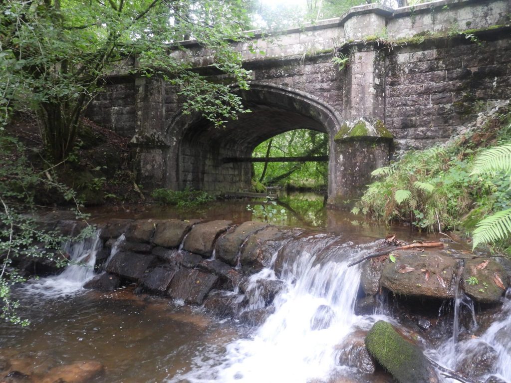 Piall Bridge - SX5961 6043