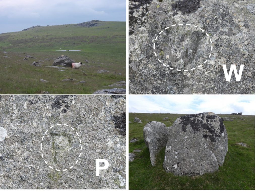 Picket Rock - SX54090 76273