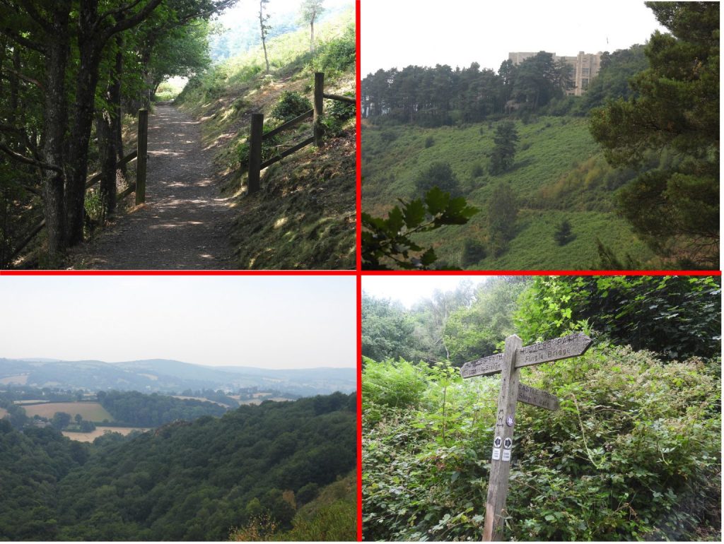 Piddledown Common (Hunters Path) - SX730 900
