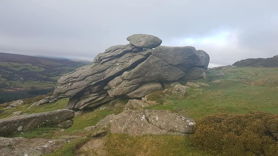 Piggie (Whooping) Rock - SX7295 8228
