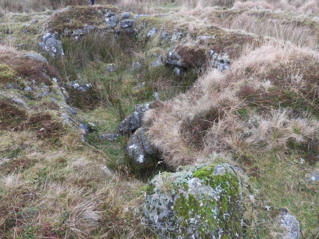 Pigs-House - SX64233 71905