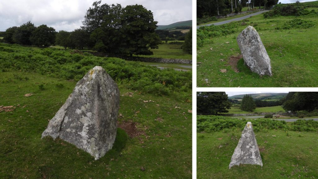 Piked Stone (1) - SX68475 76003