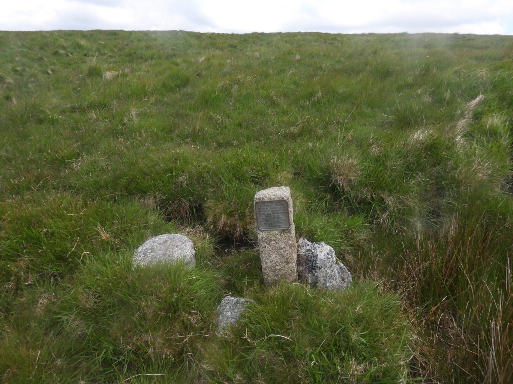 Pinswell Cut - SX591 841