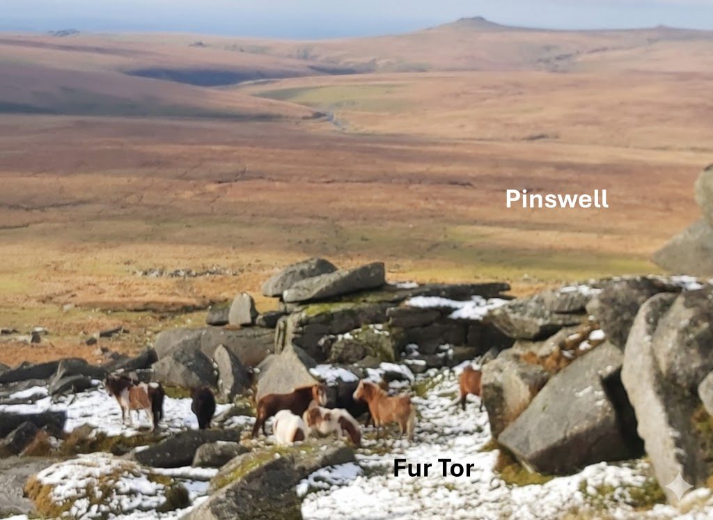 Pinswell - SX57 83