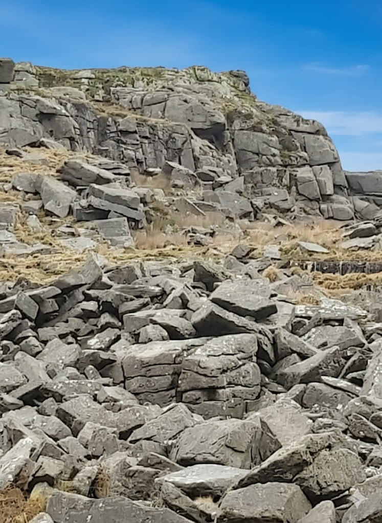 Pixie's Cave - SX6945 6805