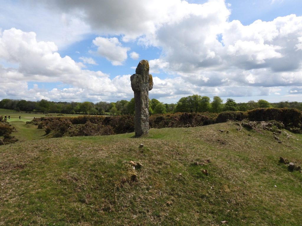 Pixie's Cross - SX5013 7366