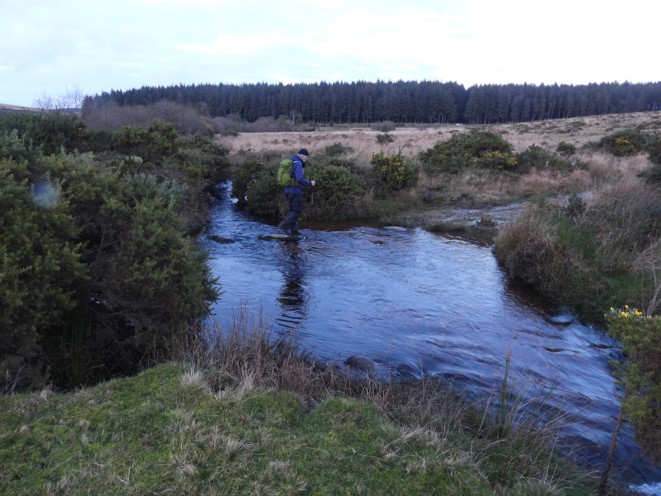 Pizwell Ford - SX6697 7850