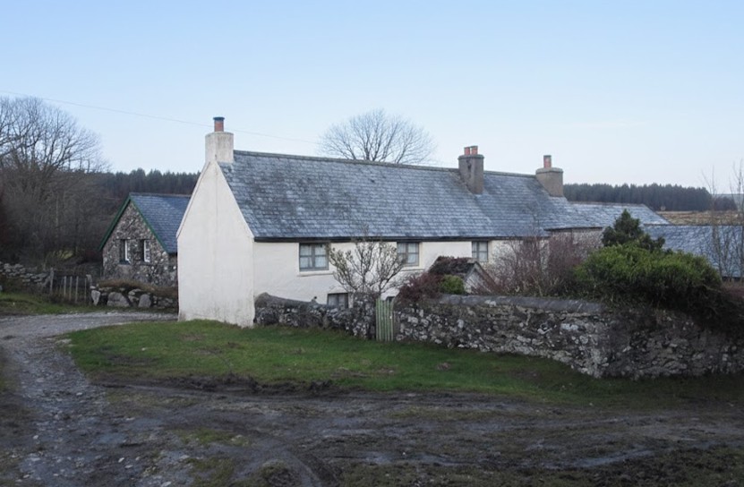 Pizwell - SX6681 7845