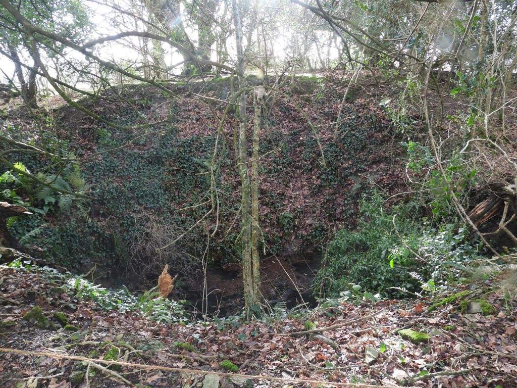 Plaister Down Mine (aka Great Sortridge) - SX50913 72365