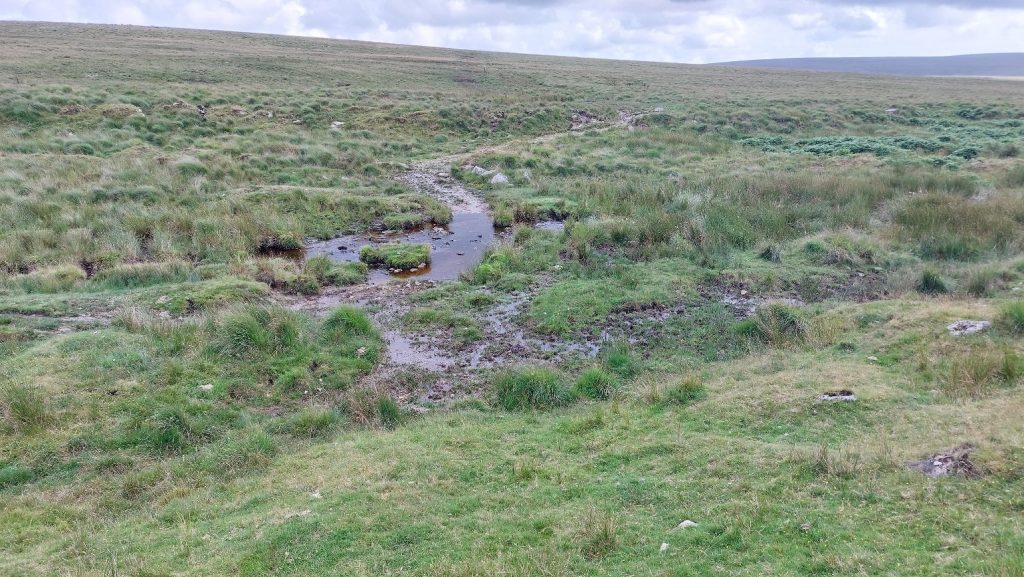 Plym Ford - SX6105 6840