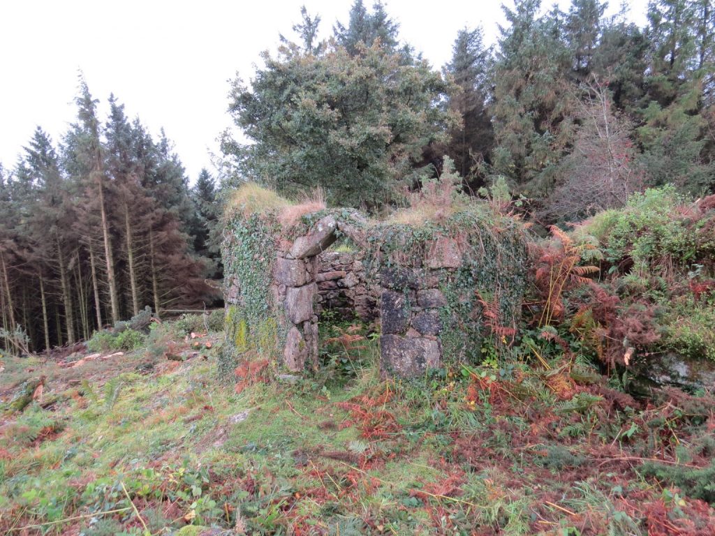 Princep's Folly - SX67101 87778