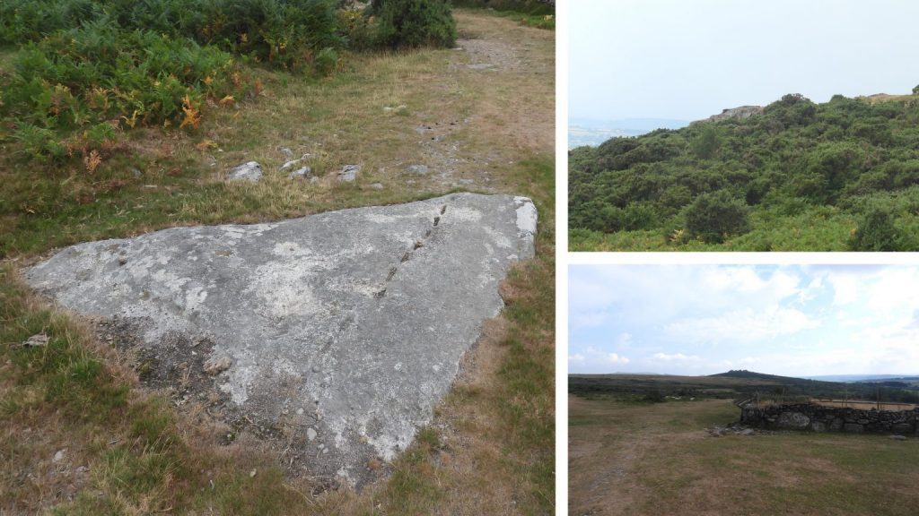 Prowtytown Brake and Rocks - SX528 745