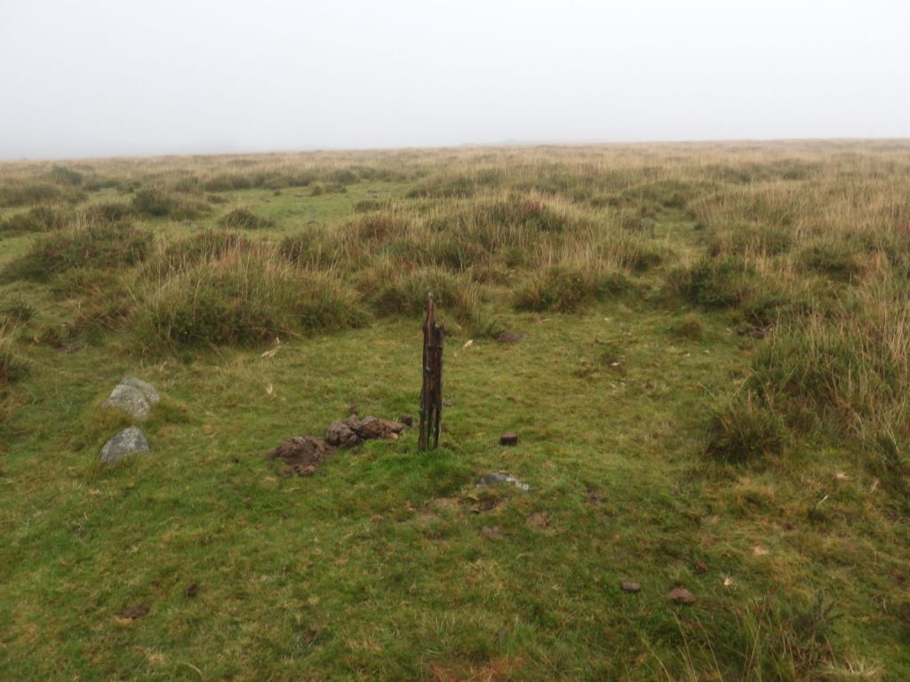 Pudsham Down (anti Glider Pole) - SX730 748