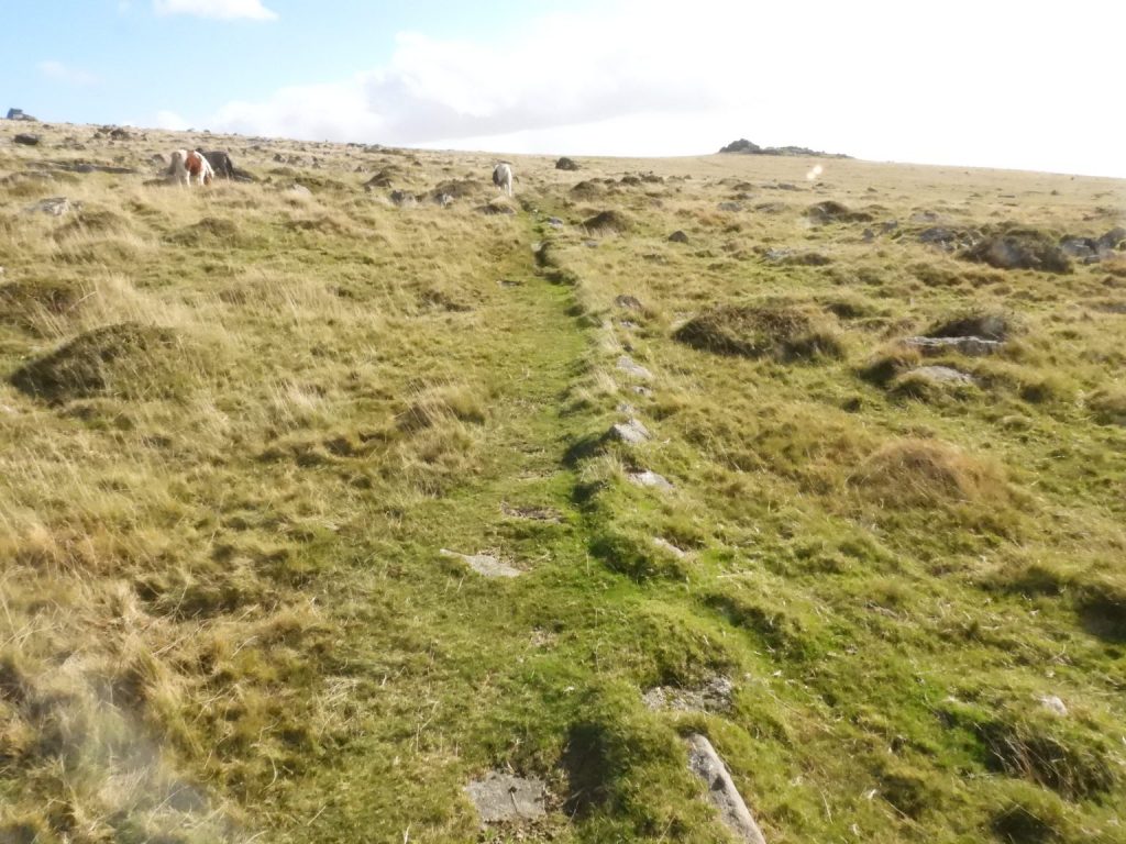 Quarrymans Path (Causeway) SX 53901 76011