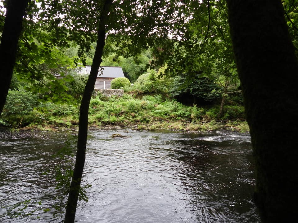 Queen of the Dart - SX735 688