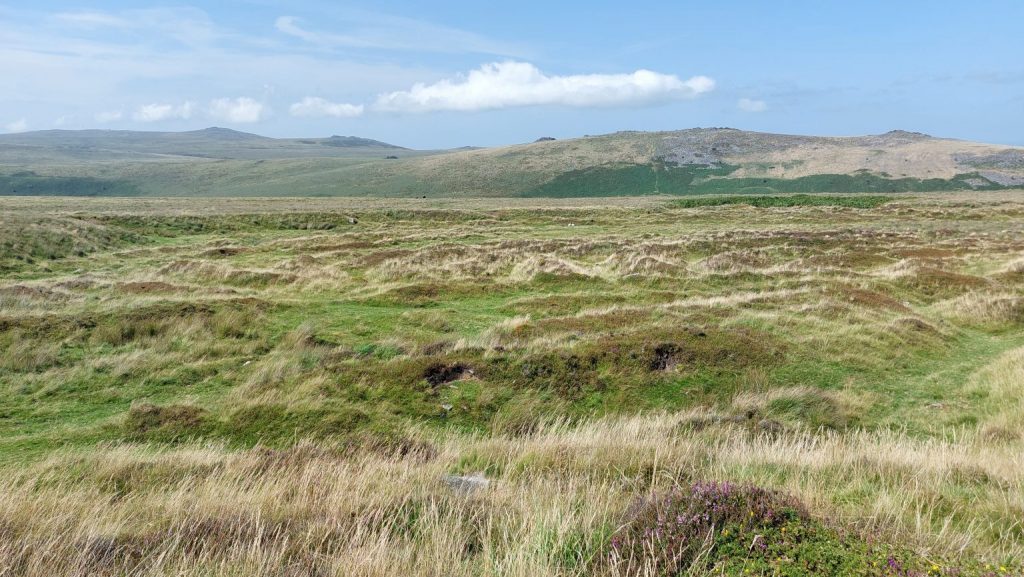 Queenie Meads - SX629 916