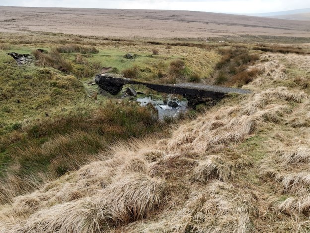 Quickbeam Hill - SX656 647