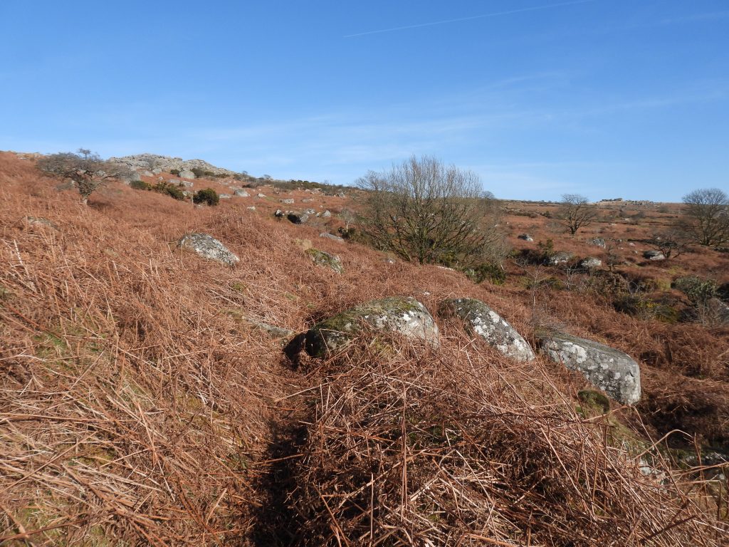 0b. End of the leat above the mill