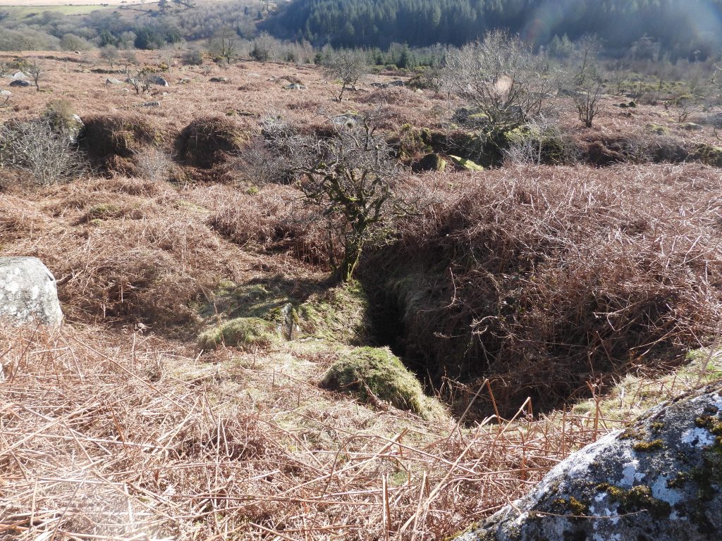 0d. Overlooking the mill from leat