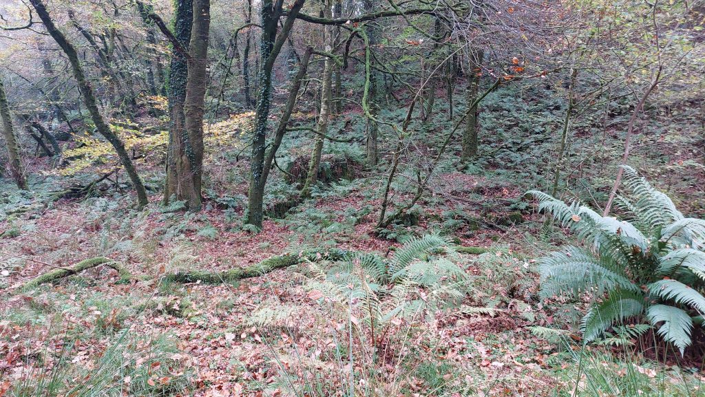 1. General view of Mill