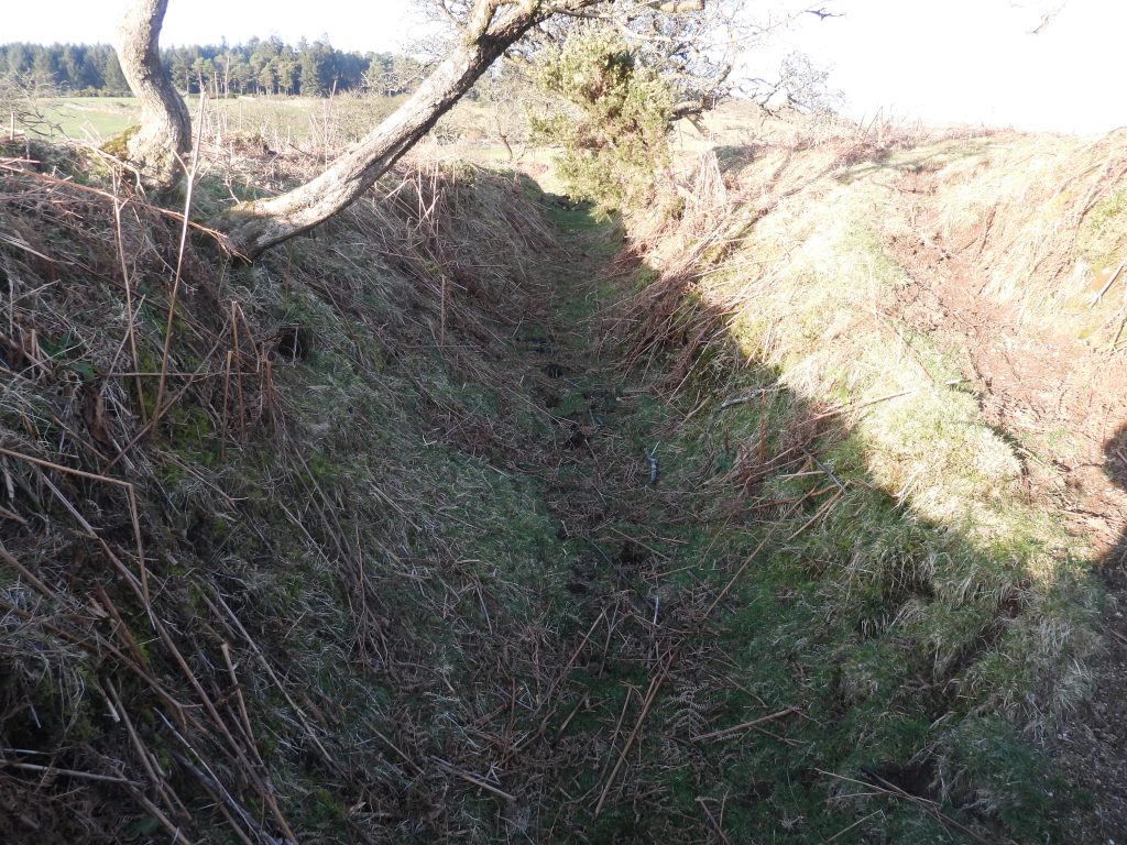 11d. Leat through to Newleycombe Lake