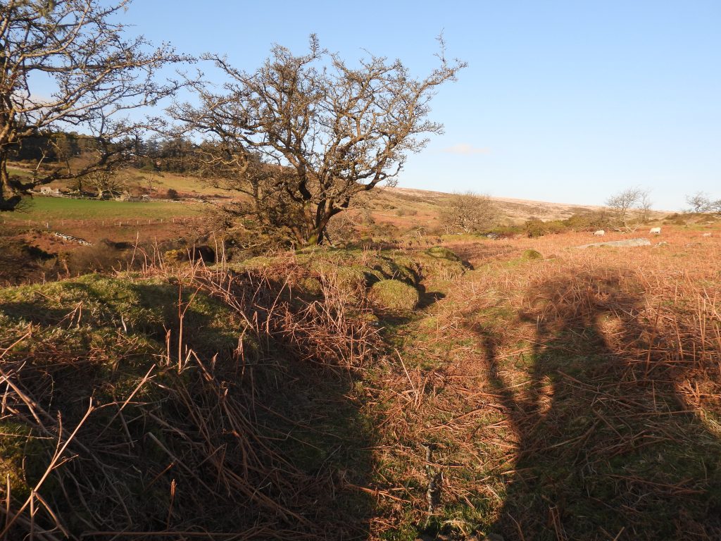 11e. Leat opposite Kingsett farm