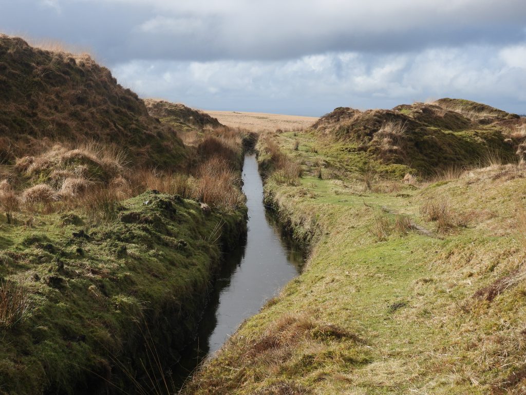 12. Devonport Leat downstream c