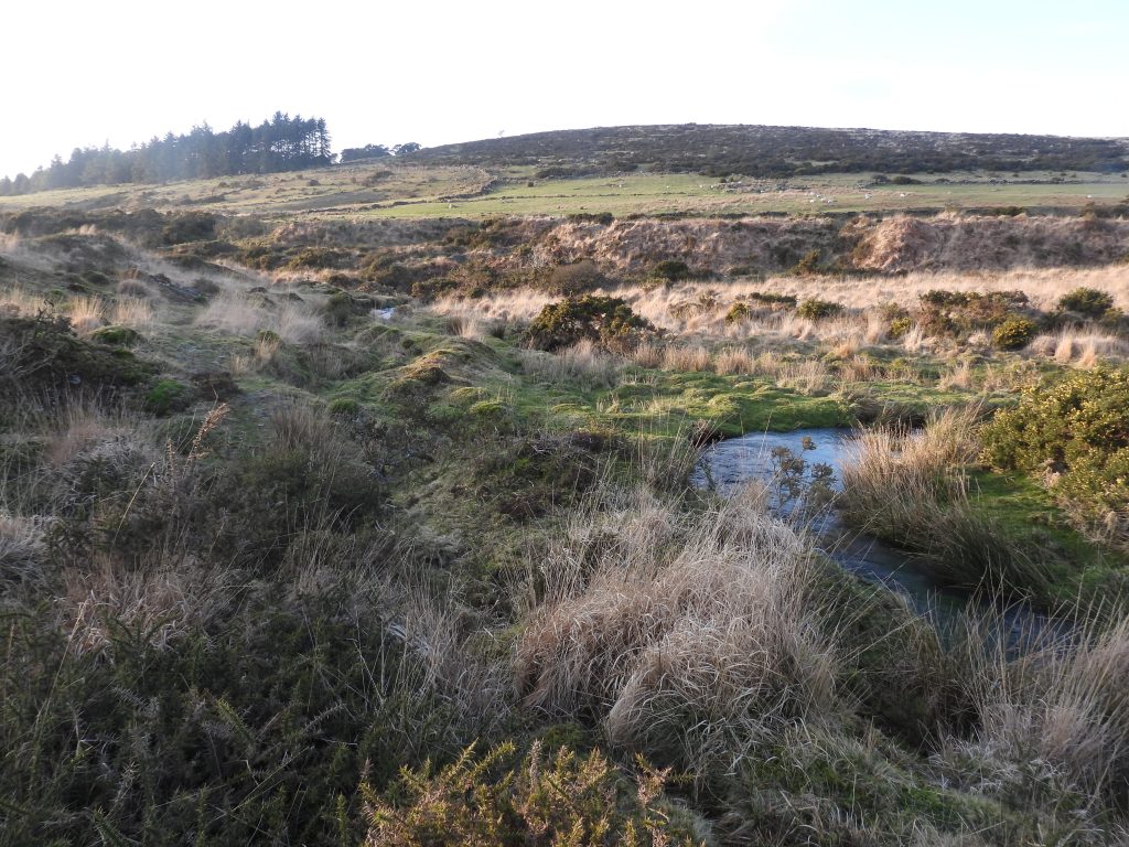 12b. Leat Take off point