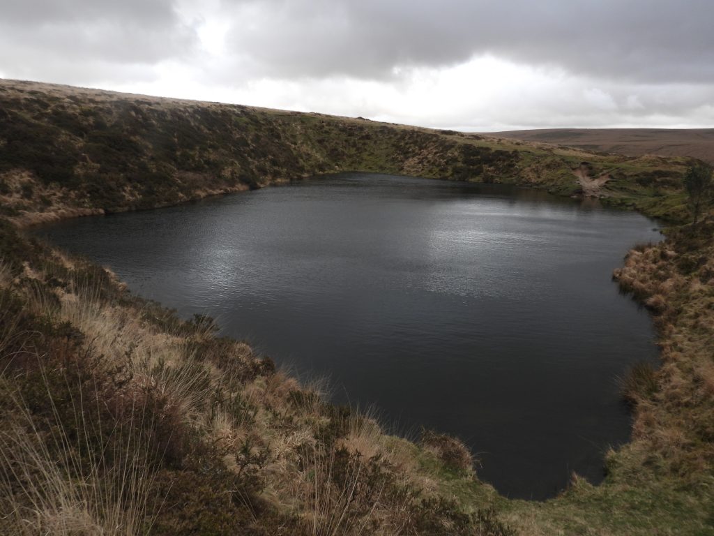 14. Crazywell Pool b