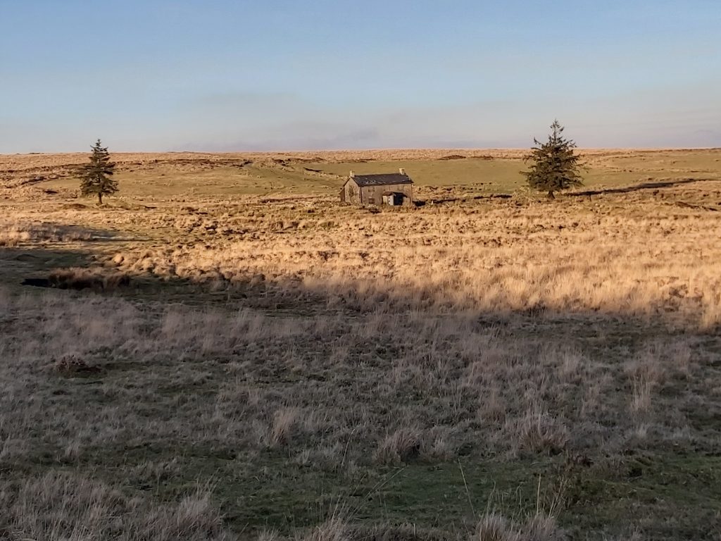 16a. Modern - 291219