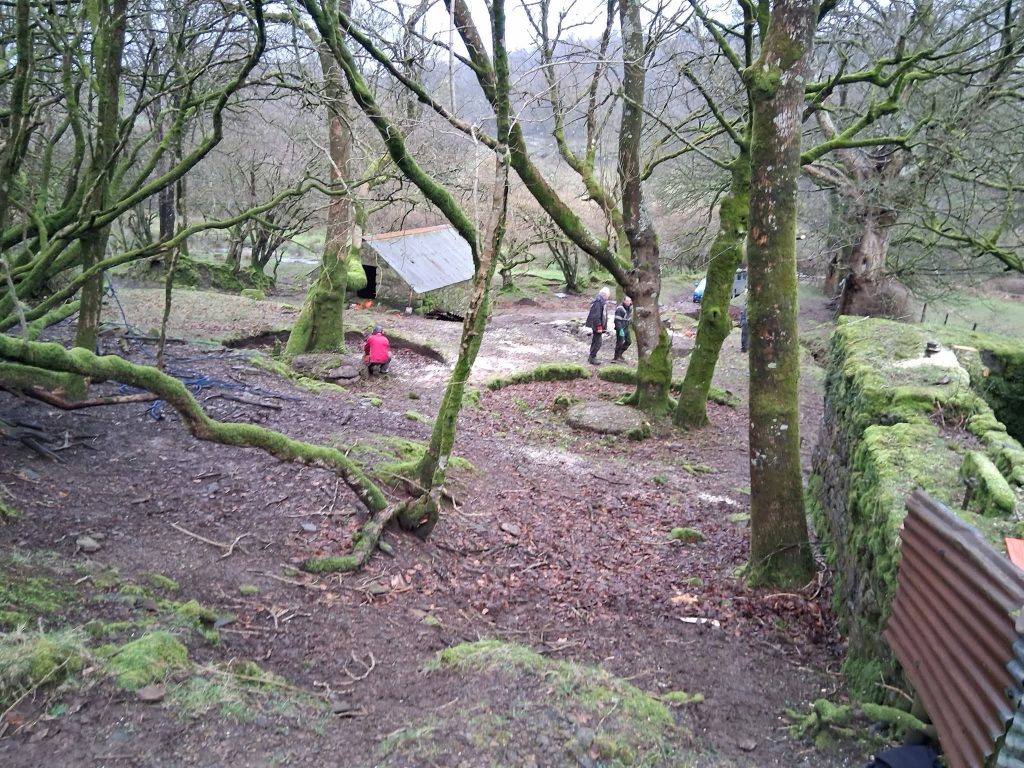 16b. DTRG Buddles after