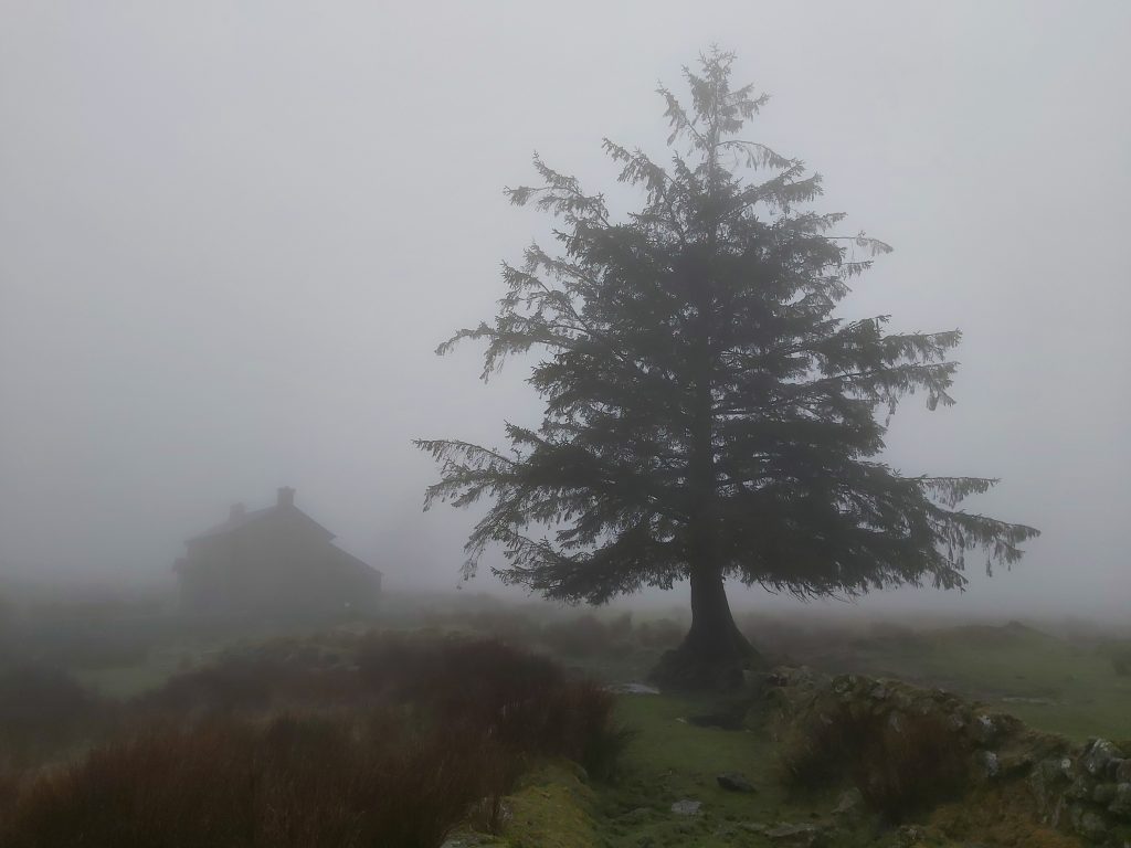 16c. Modern - 230123