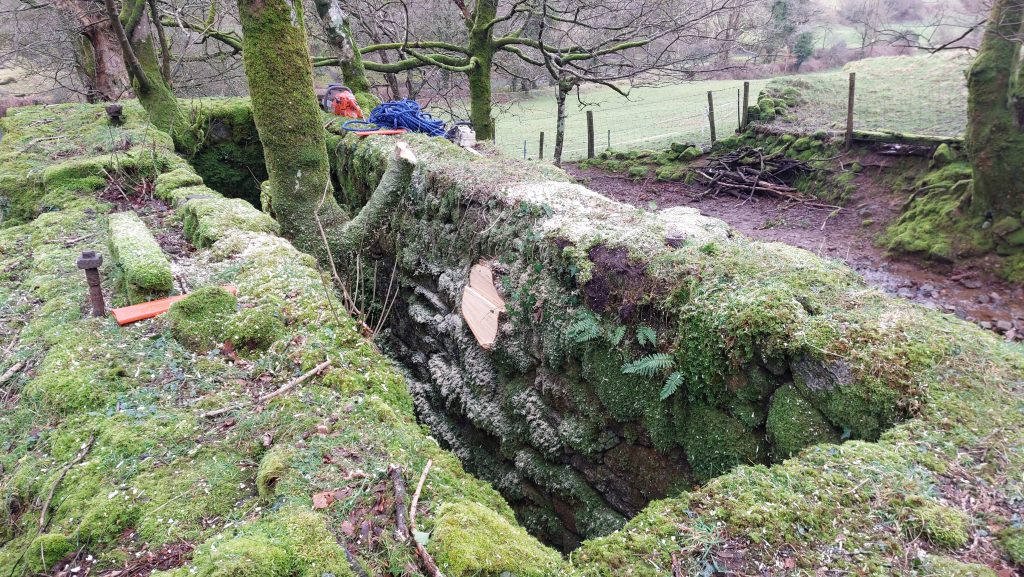 17a. DTRG Wheelhouse