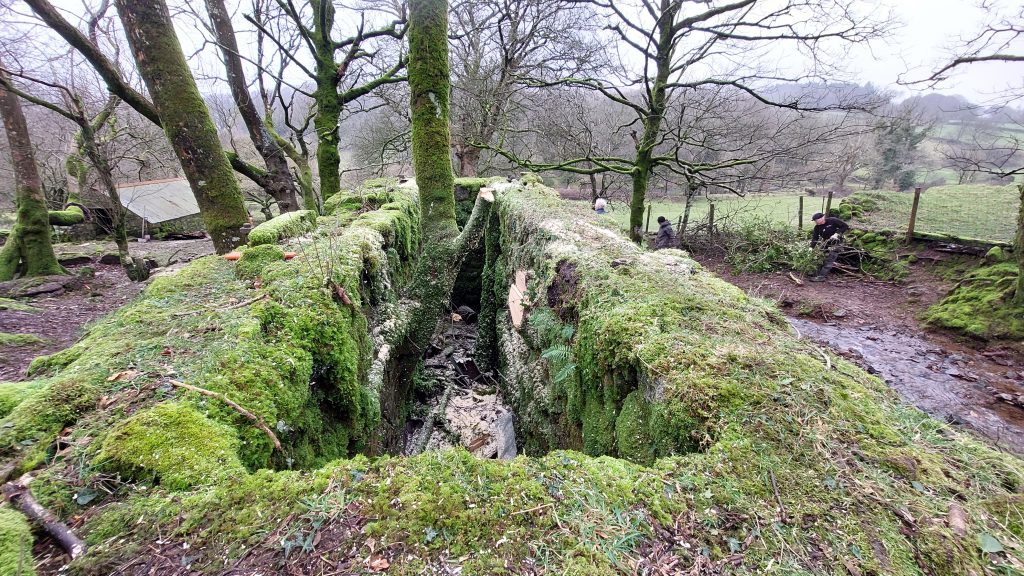 17b. DTRG Wheelhouse