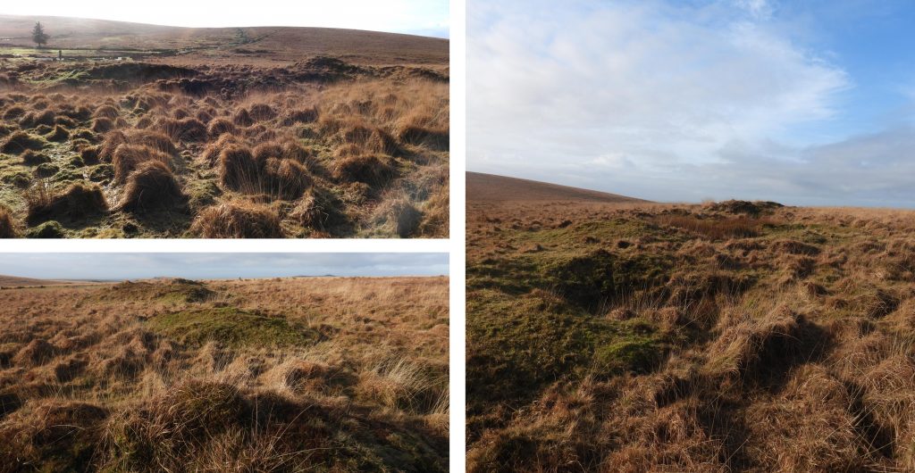 1a. Tinners' Workings north of Nun's Cross