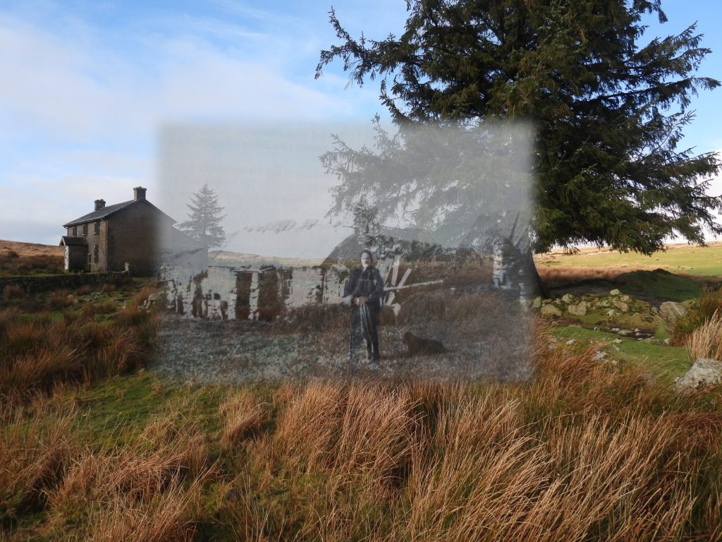 1e. Combined Picture