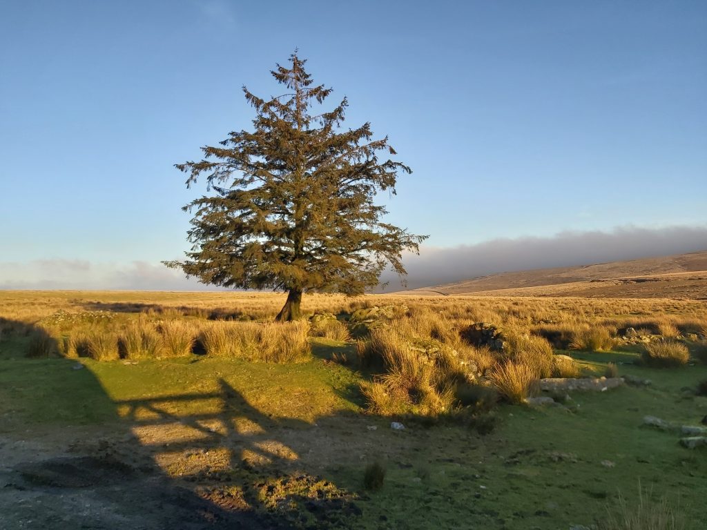 2. Original Farm - 291219