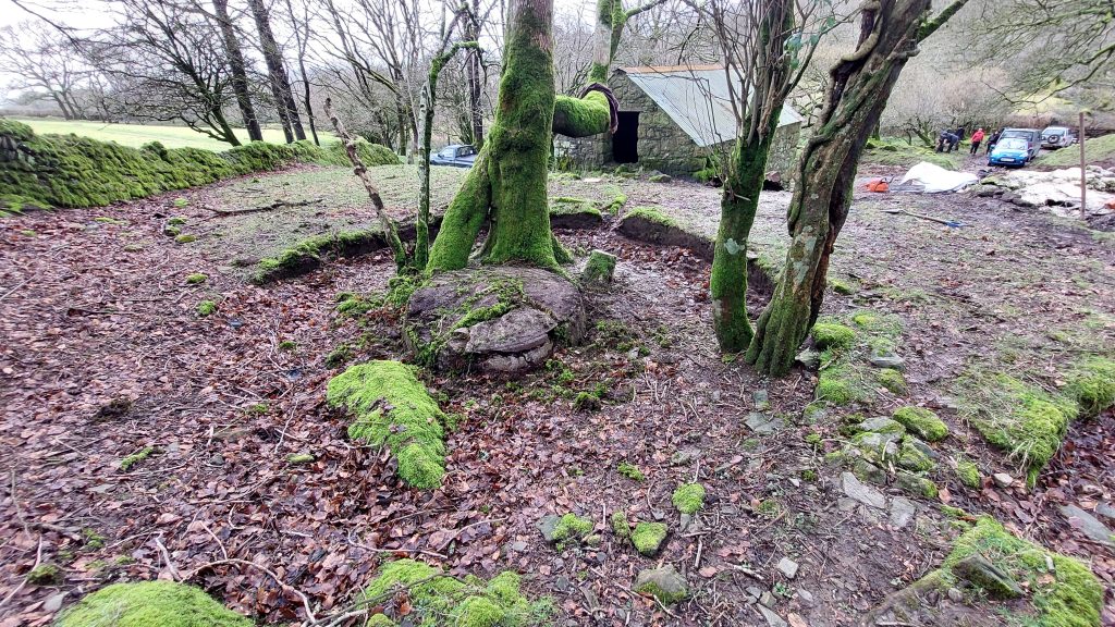 21. Buddle 3a during