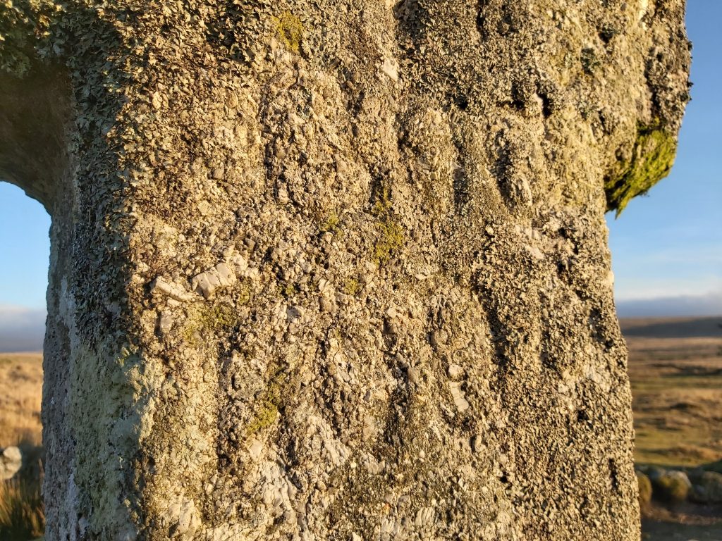 21. Cross b - 291219