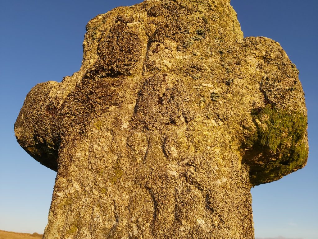 21. Cross c - 291219